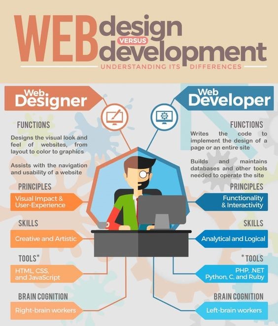 Web designer vs Web developer